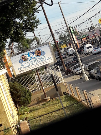 Ice Cream Shop «Boston Cream Doughnut», reviews and photos, 1009 W Anaheim St, Wilmington, CA 90744, USA