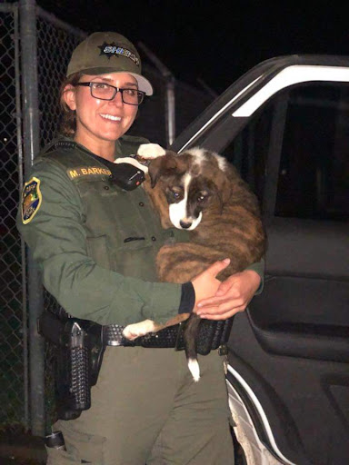 Northwest SPCA image