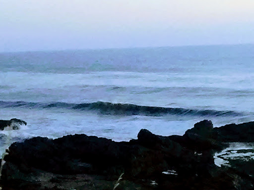 Grocery Store «C&K Market», reviews and photos, 231 US-101, Yachats, OR 97498, USA