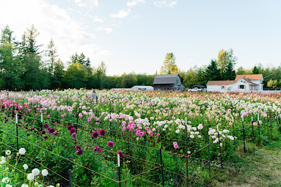 The Farmhouse Flower Farm