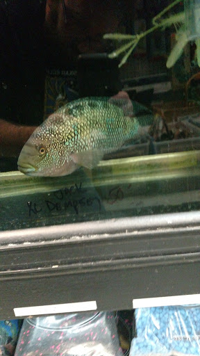 Pet Asylum, 3700 U.S. 9, Howell, NJ 07731, USA, 