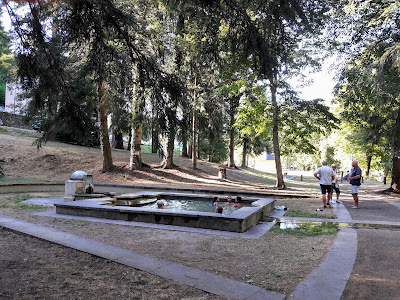 Source Lefort à Châteauneuf-les-Bains