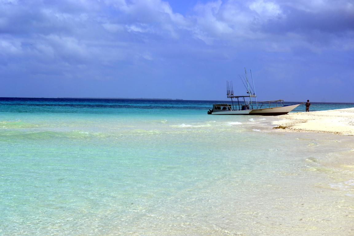 Foto di Spiaggia dell'Isola della Mafia con molto pulita livello di pulizia
