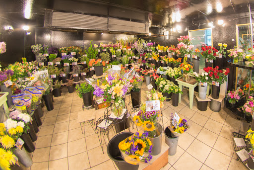 Florist «The Posie Peddler», reviews and photos, 92 West Ave, Saratoga Springs, NY 12866, USA