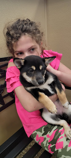 Pet Supply Store «Pet Ranch», reviews and photos, 3823 E 120th Ave, Denver, CO 80233, USA