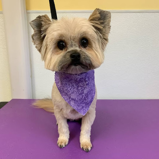 Pet Supply Store «Animal House Grooming & Quality», reviews and photos, 229 W Absecon Blvd, Absecon, NJ 08201, USA