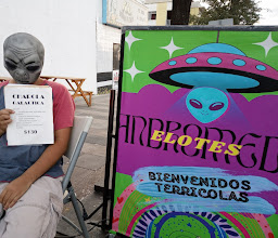 Elotes Andromeda photo