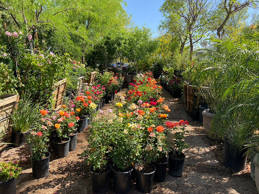 Sun Valley Nursery