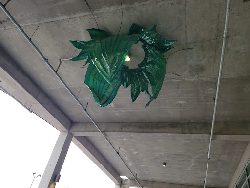 Natural Foods Store «PCC Natural Markets - Columbia City», reviews and photos, 3610 S Edmunds St, Seattle, WA 98118, USA