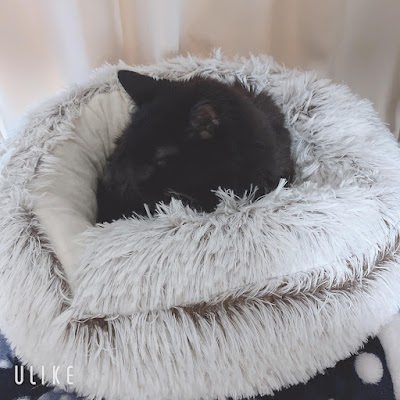 @ホームサロン うるんだ村