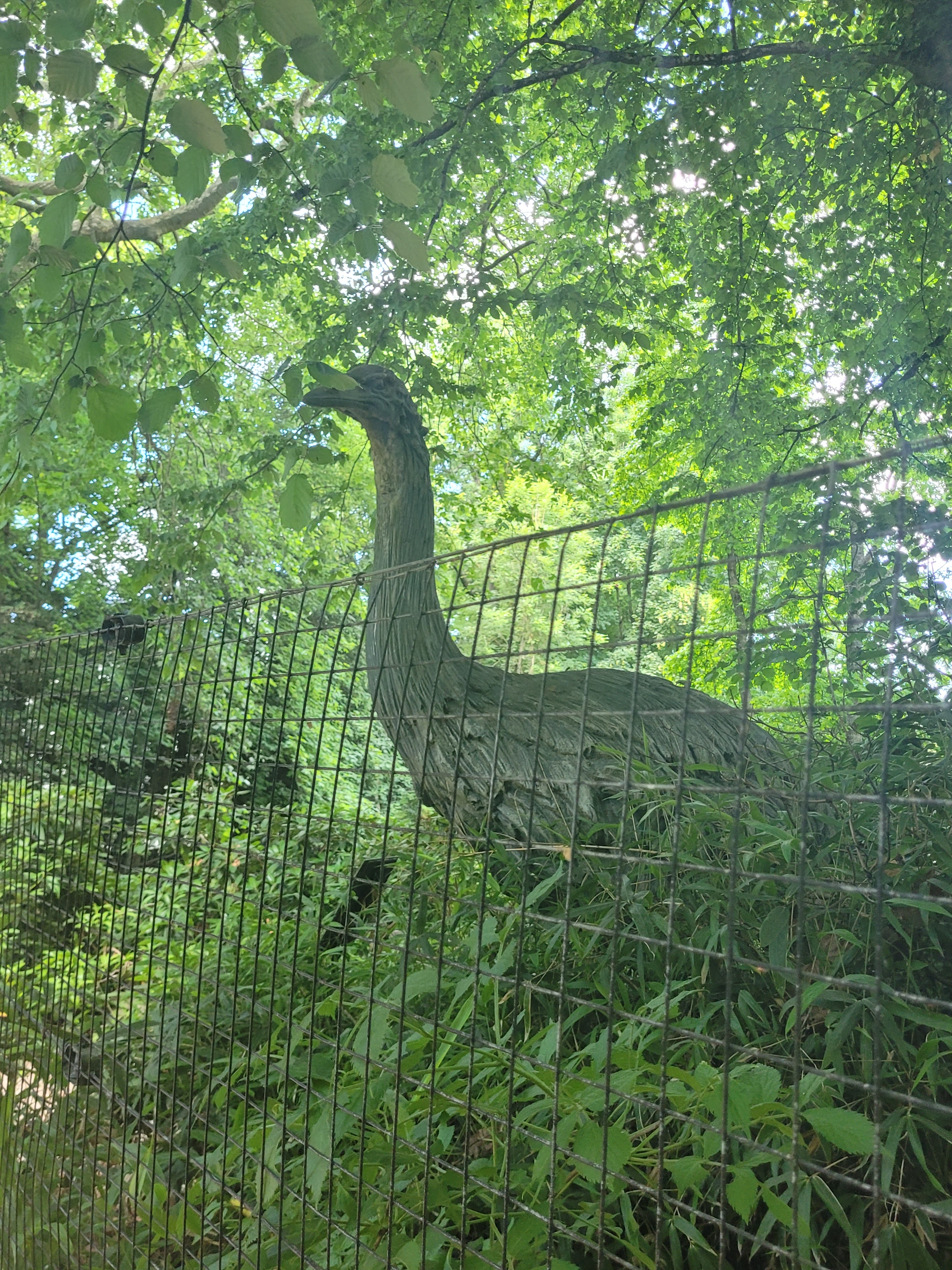 Photo n° 29 de l'avis de Vero.o fait le 14/06/2022 à 11:47