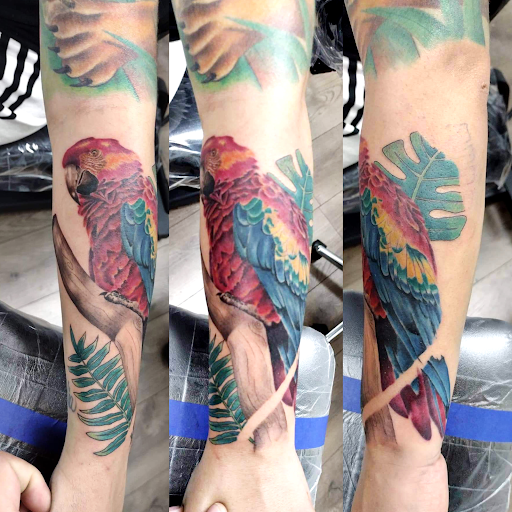 Explore the cure tattoo ideas, creative tattoo ideas in Springfield, available at Red Tip Tattoos