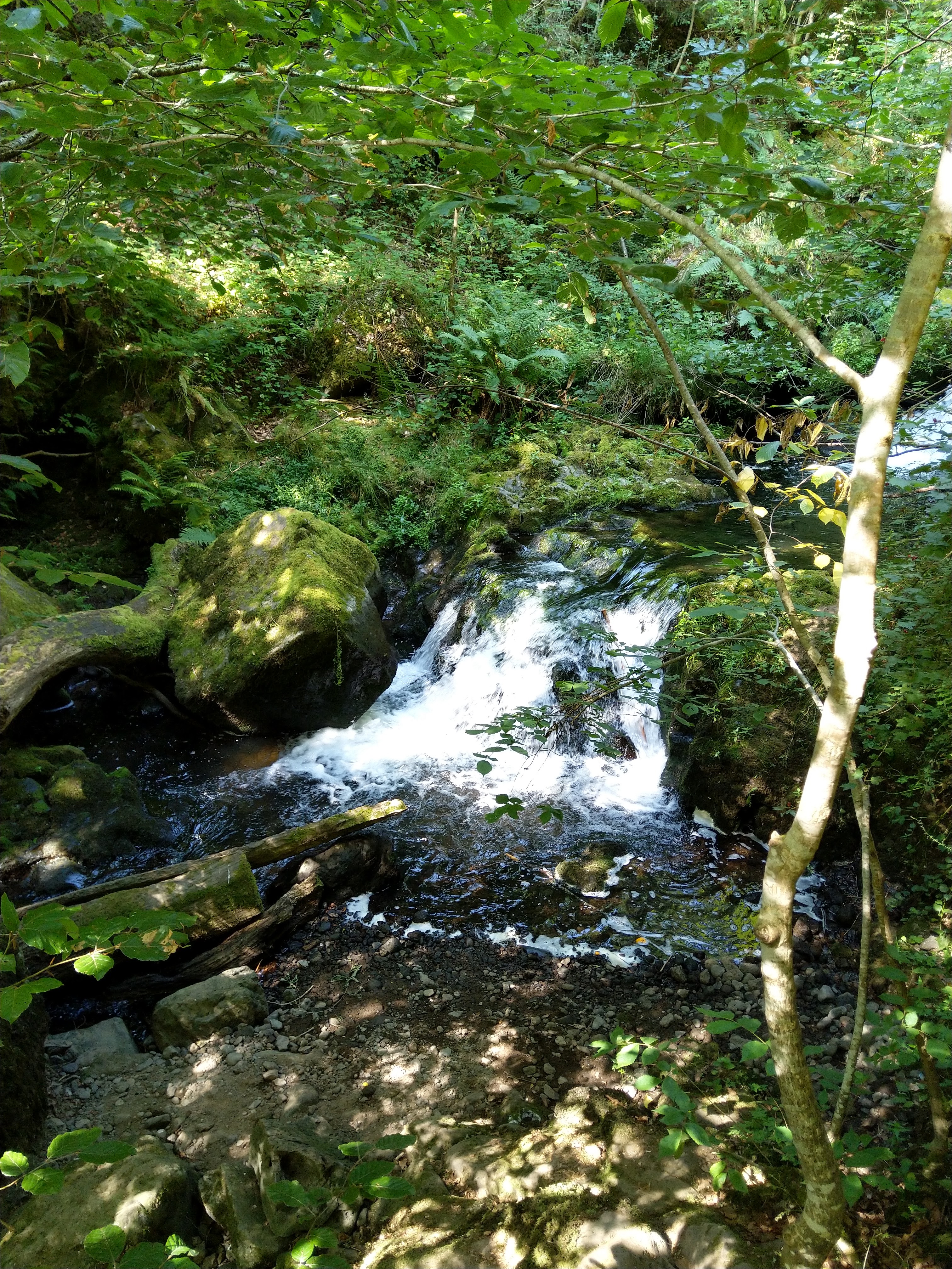 Photo n° 3 de l'avis de Sébastien.E fait le 25/07/2019 à 10:52