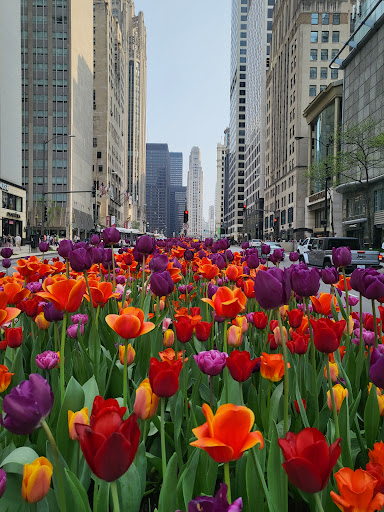 Shopping Mall «The Shops at North Bridge», reviews and photos, 520 N Michigan Ave, Chicago, IL 60611, USA