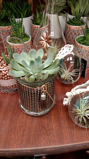 Grocery Store «Safeway», reviews and photos, 1421 Tara Hills Dr, Pinole, CA 94564, USA