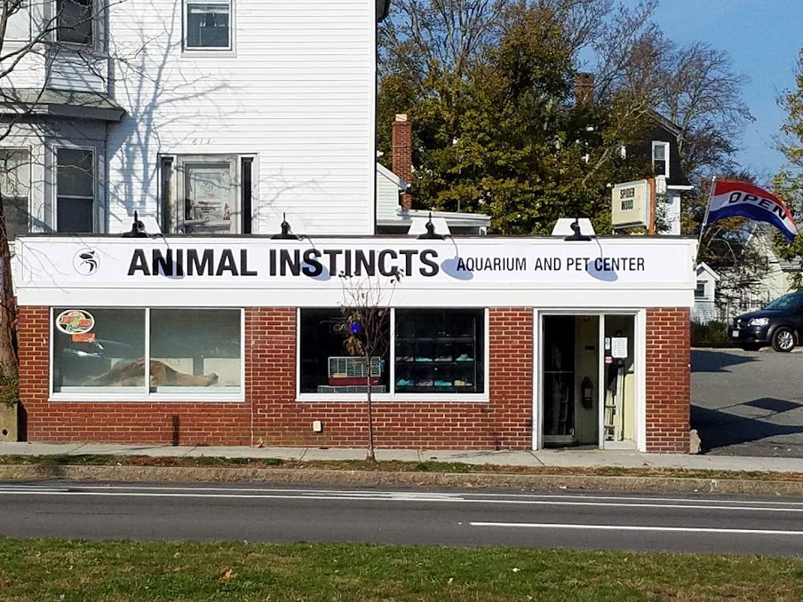 Animal Instincts Aquarium and Pet Center