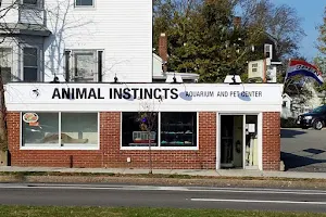 Animal Instincts Aquarium and Pet Center image