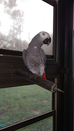 Bird Shop «BirdFarm Superstore», reviews and photos, 6360 Suncoast Parkway, Homosassa, FL 34446, USA