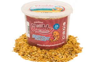 Chubby Mealworms image