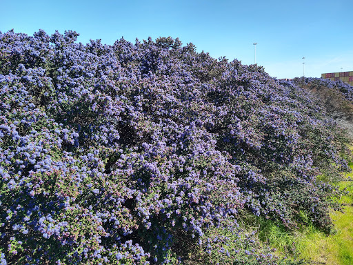 Park «Middle Harbor Shoreline Park», reviews and photos, 2777 Middle Harbor Rd, Oakland, CA 94607, USA