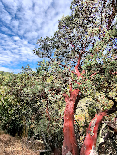 Nature Preserve «Rancho Cañada del Oro Open Space Preserve», reviews and photos, 4289 Casa Loma Rd, Morgan Hill, CA 95037, USA