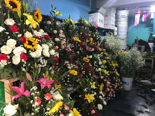 Florería lilis – Romita