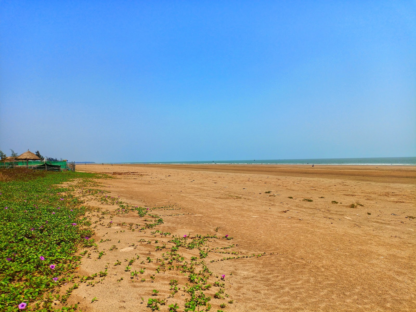 Lal Kankra Beach的照片 具有非常干净级别的清洁度