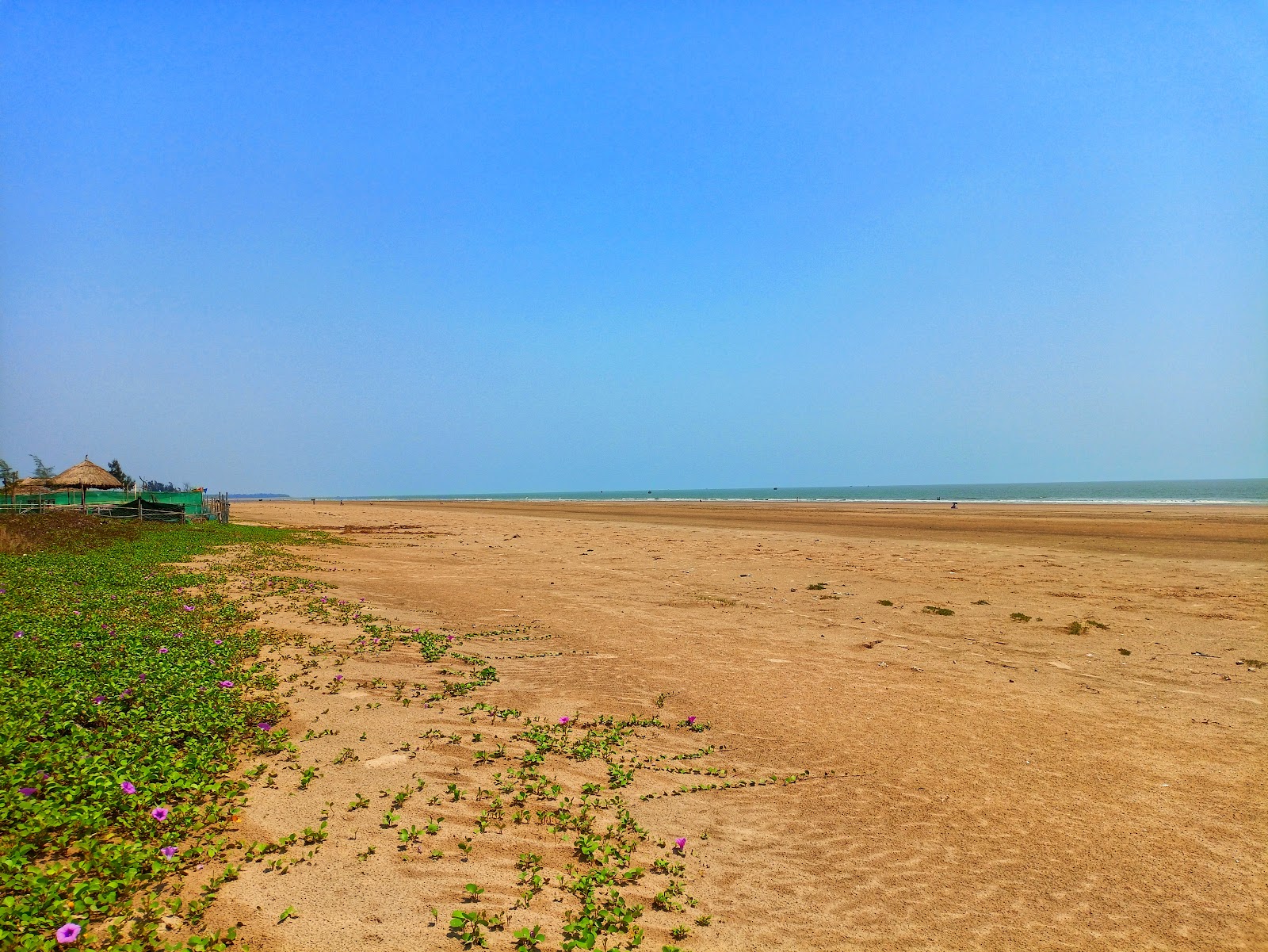 Foto von Lal Kankra Beach wilde gegend