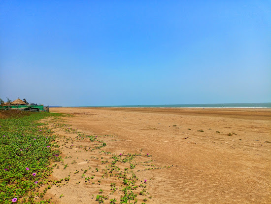 Lal Kankra Beach