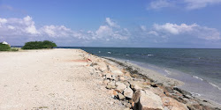Zdjęcie Hare island Beach z powierzchnią turkusowa czysta woda