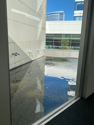 Art Museum «Bellevue Arts Museum», reviews and photos, 510 Bellevue Way NE, Bellevue, WA 98004, USA