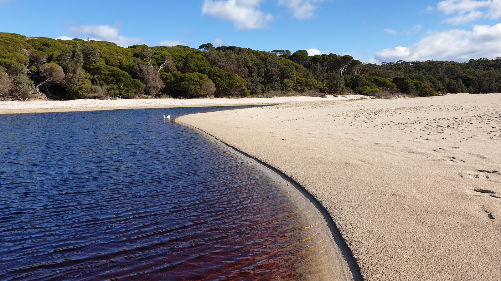 Photo of Saltwater Creek Beach located in natural area