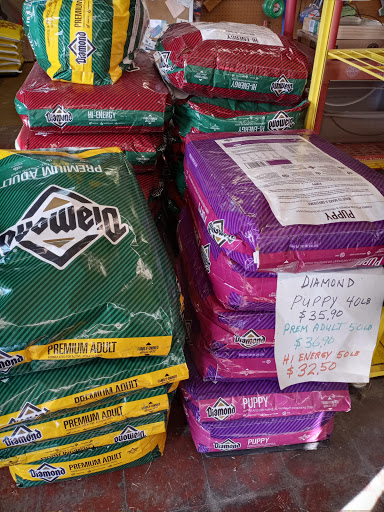 Pet Supply Store «Alamo Feed & Pet Supply», reviews and photos, 2230 Blanco Rd, San Antonio, TX 78212, USA