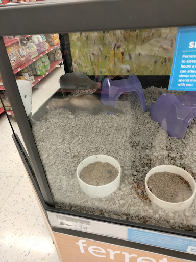 Pet Supply Store «Petco Animal Supplies», reviews and photos, 313 Homer M Adams Pkwy, Alton, IL 62002, USA