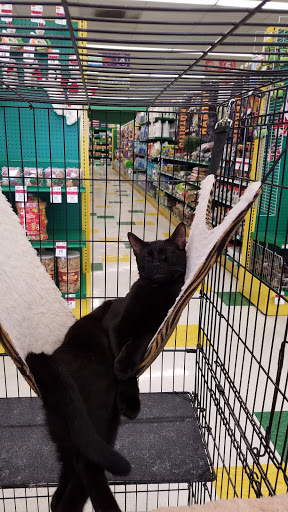 Pet Supply Store «Pet Supplies Plus», reviews and photos, 9143 Little Rd, New Port Richey, FL 34654, USA