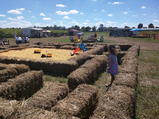 Tourist Attraction «Shipshewana Corn Maze», reviews and photos, 505 Morton St, Shipshewana, IN 46565, USA