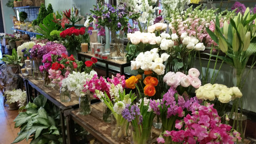 Florist «Flowers and Flowers by Adam Manjuck», reviews and photos, 876 Post Rd, Darien, CT 06820, USA