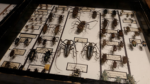 Learning Center «Arizona Science Center», reviews and photos, 600 E Washington St, Phoenix, AZ 85004, USA