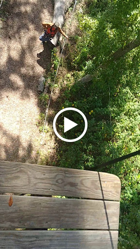 Theme Park «TreeHoppers Aerial Adventure Park», reviews and photos, 27839 St Joe Rd, Dade City, FL 33525, USA