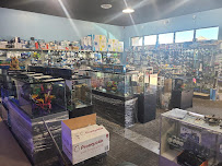 Blue Reef Aquatics - Photo 6 - Car repair in North Las Vegas, NV, Las Vegas