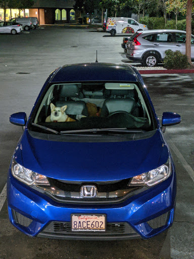 Pet Supply Store «Pet Club San Mateo», reviews and photos, 1850 S Norfolk St, San Mateo, CA 94403, USA