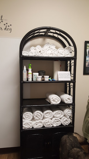 Pet Supply Store «EarthWise Pet Panama City», reviews and photos, 632 W 23rd St, Panama City, FL 32405, USA