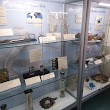 Zoological Collection Of The University Of Rostock