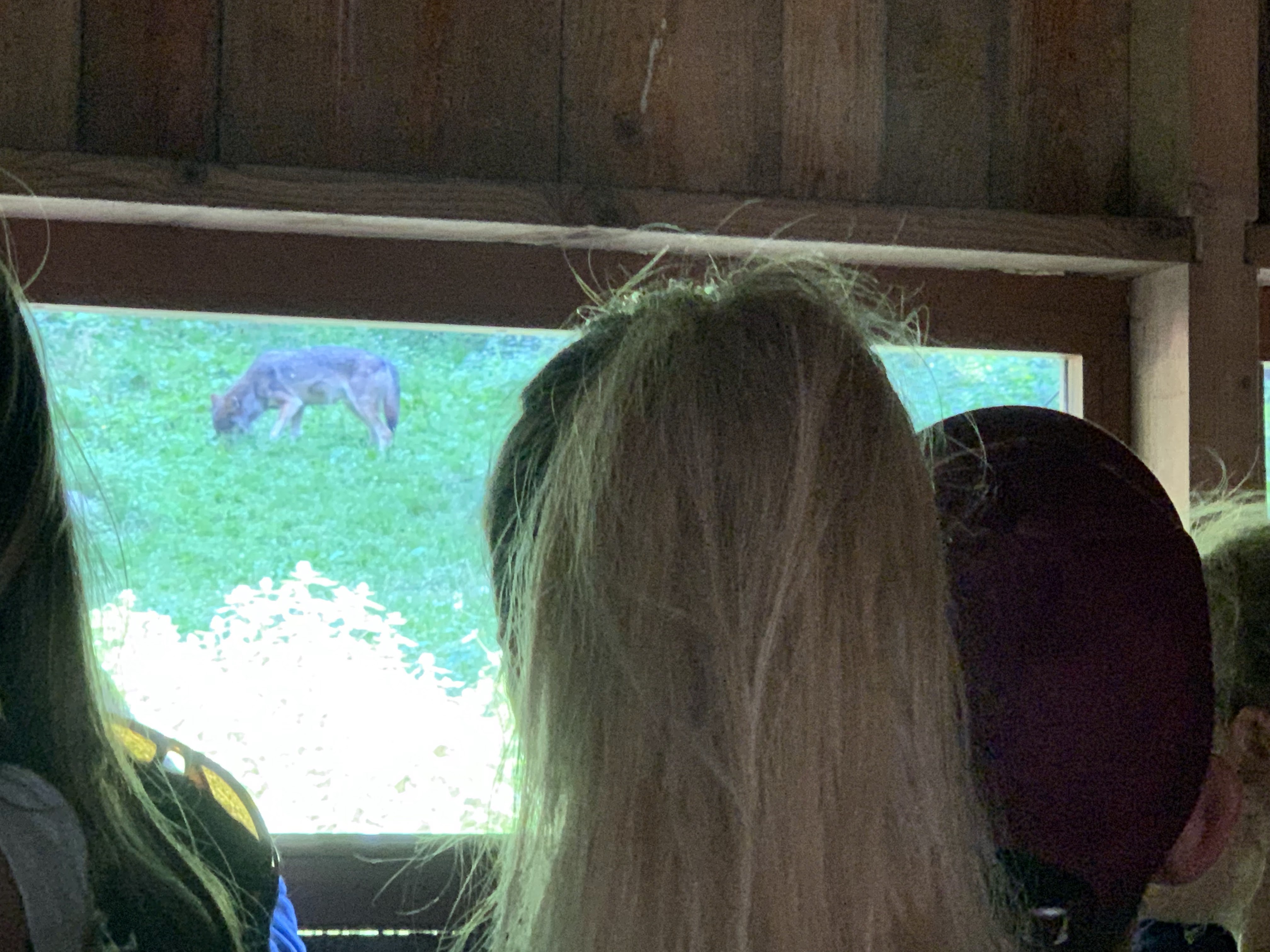 Photo n° 2 de l'avis de Paul.b fait le 06/08/2019 à 21:04