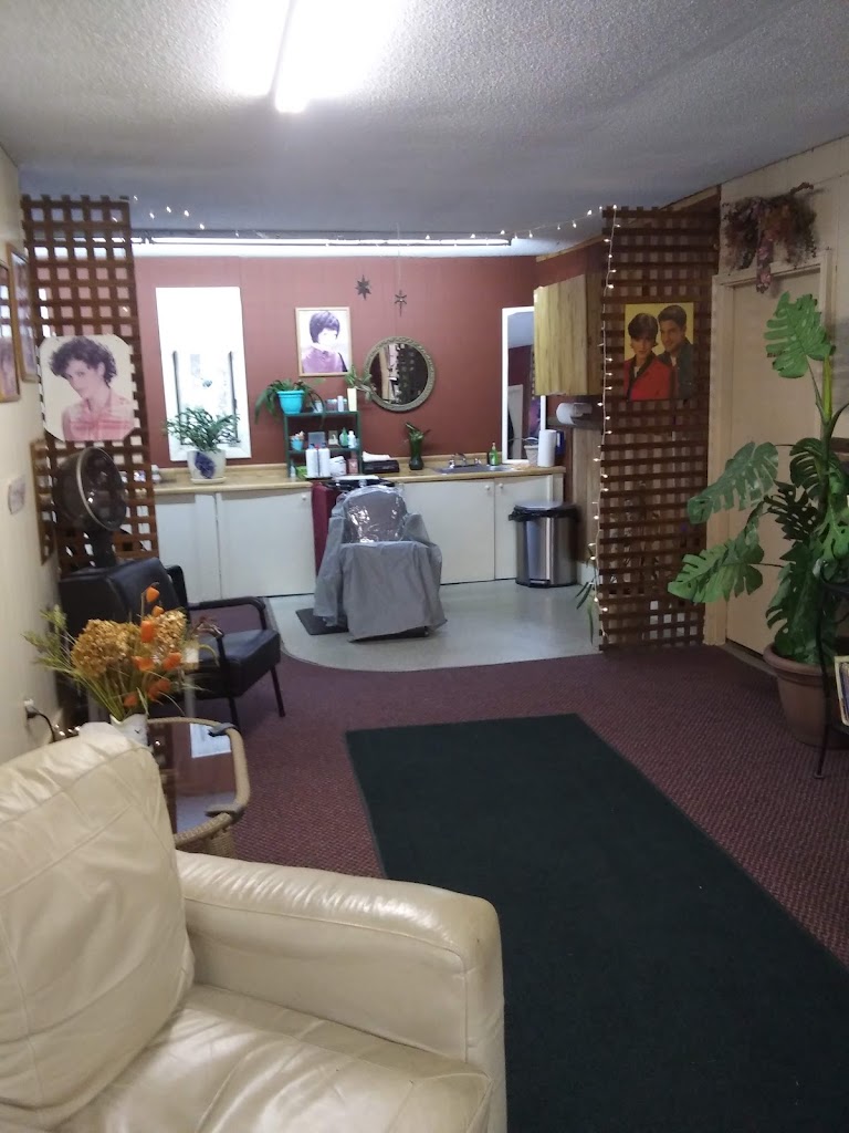 Hair Extrordinaire 04676