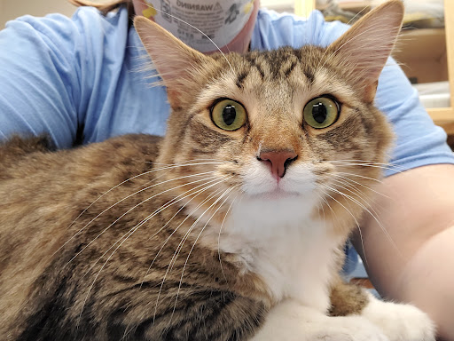 3520 Church St, Cincinnati, OH 45244, USA