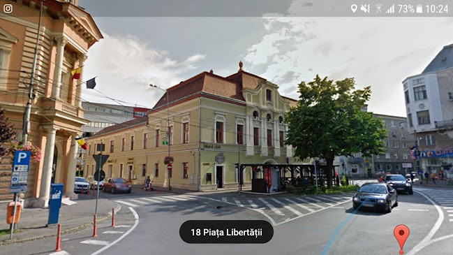 Imobiliare Conect Satu Mare - <nil>