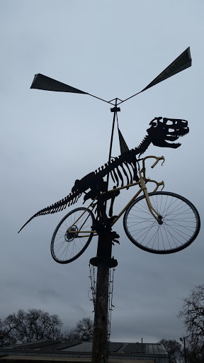 Non-Profit Organization «Yellow Bike Project-NonProfit Bike Collective», reviews and photos