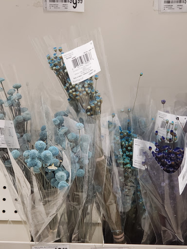 Craft Store «Michaels», reviews and photos, 3610 Long Beach Rd, Oceanside, NY 11572, USA