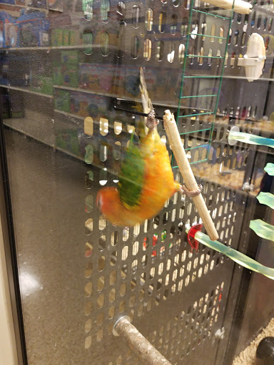 Pet Supply Store «PetSmart», reviews and photos, 401 S Mt Juliet Rd #645, Mt Juliet, TN 37122, USA